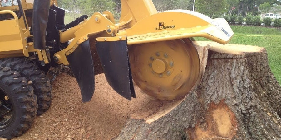 5 Good Reasons Why Stump Grinding is Necessary